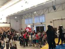 EBF 2019