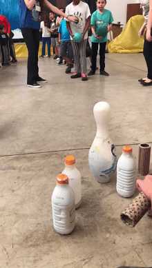 EBF 2019